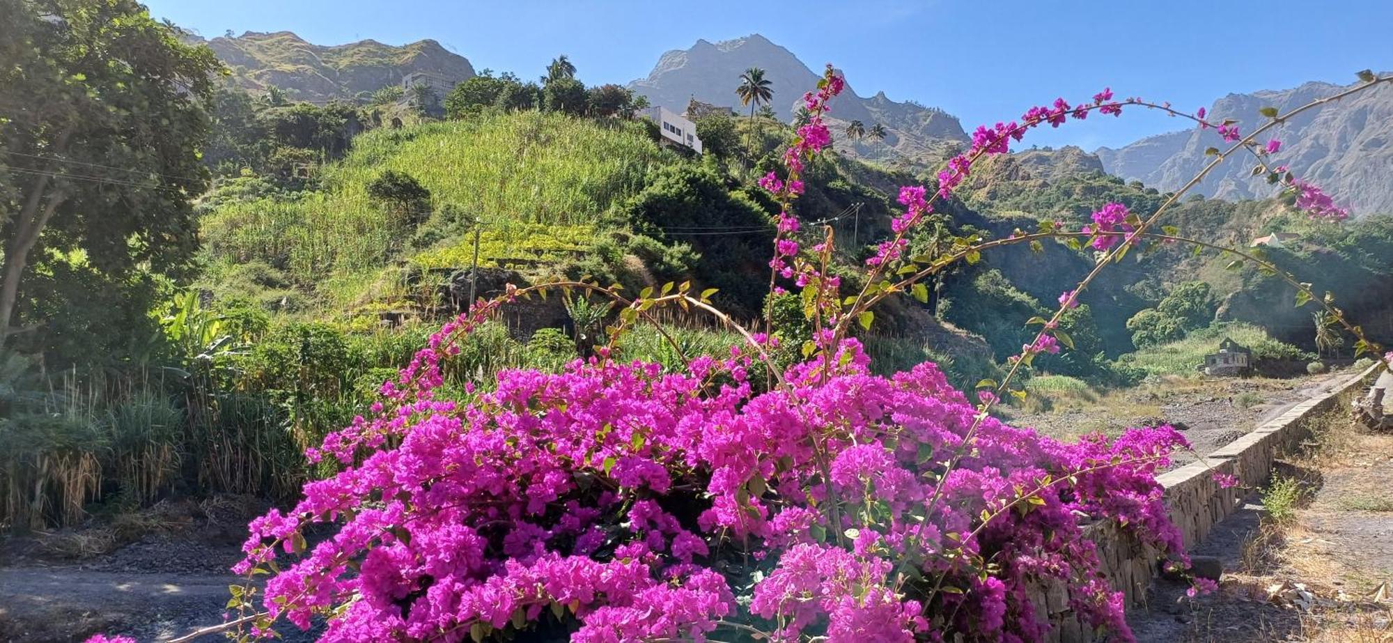 Casa Au Bonheur Des Randonneurs Daire Ponta Do Sol Dış mekan fotoğraf